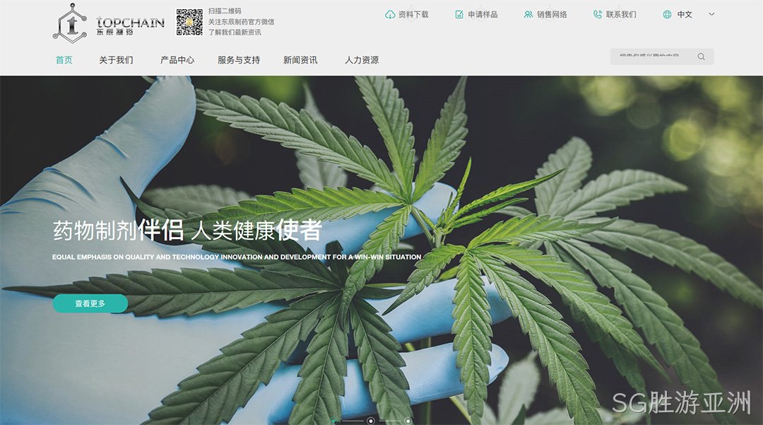 制药公司网站建设