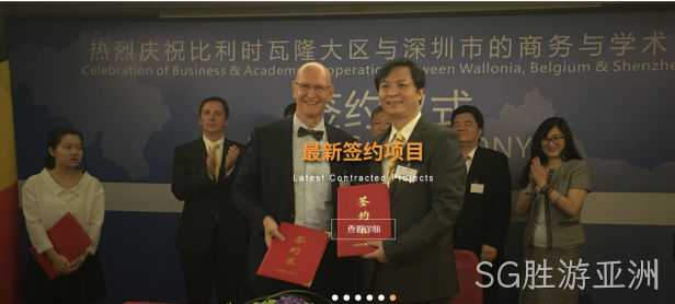 网站案例