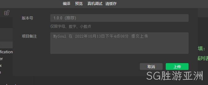 版本