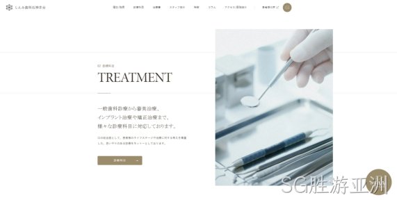 网站