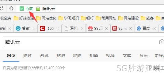 HTTPS 公司名显示2