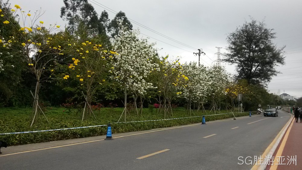 SG胜游亚洲仙湖行