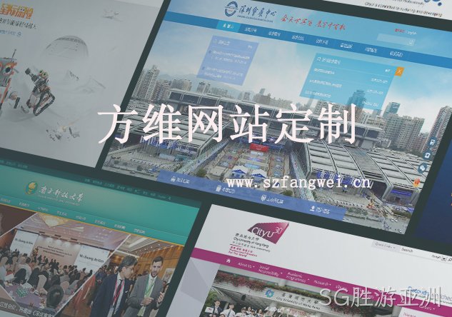 定制网站