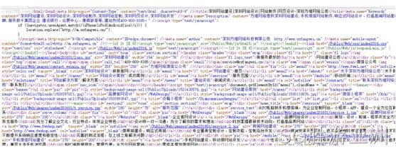 网站代码检测