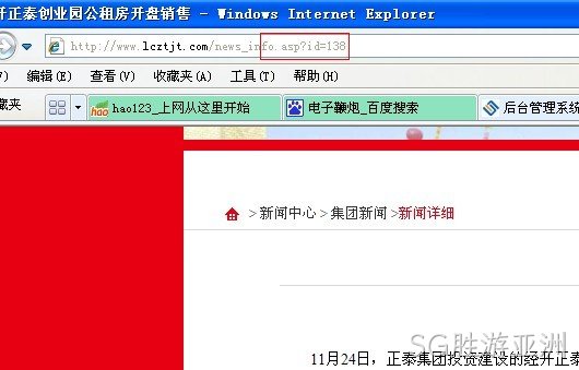 SG胜游亚洲动态网站